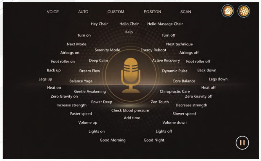 Voice control screen listing supported commands